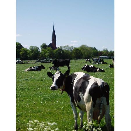 Ferienwohnung Pit Am Nordseedeich Butjadingen Bagian luar foto