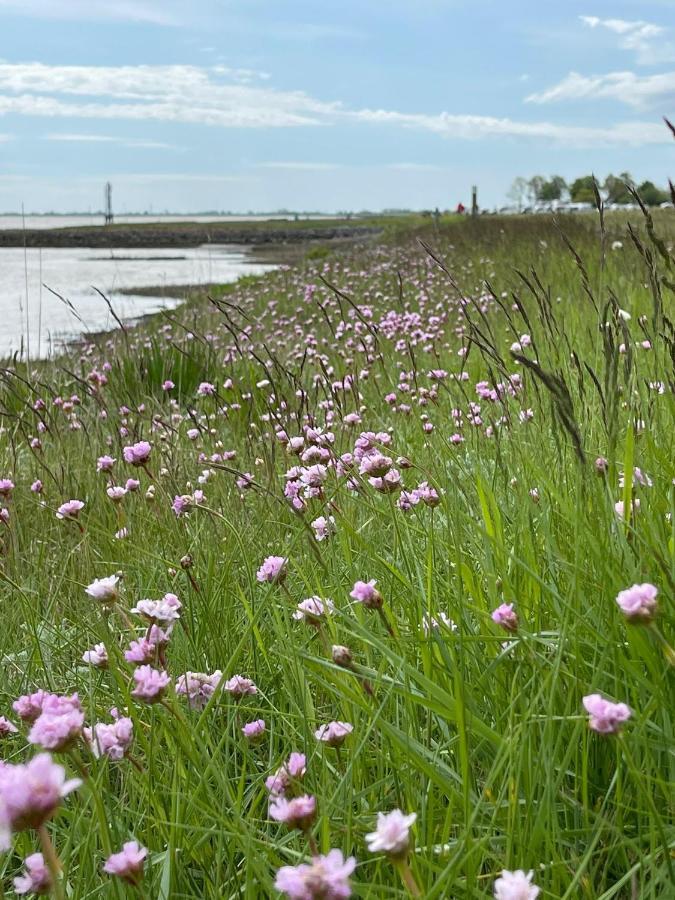Ferienwohnung Pit Am Nordseedeich Butjadingen Bagian luar foto
