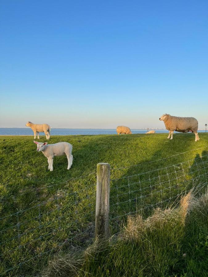 Ferienwohnung Pit Am Nordseedeich Butjadingen Bagian luar foto